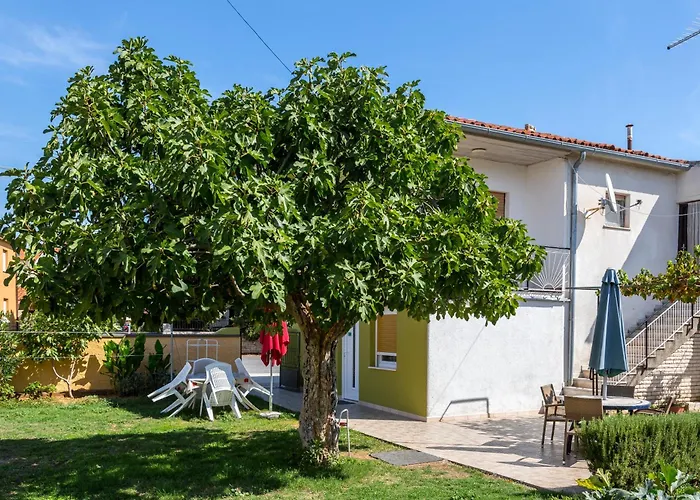 Apartman Miranda - Veliki First Floor - Mpolo *